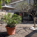 La terrasse la plus «branchée» du centre ville...