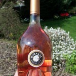 La star des rosés...