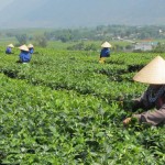 Un bouleversant voyage au pays des saveurs...